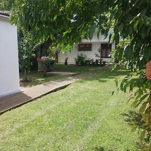 A 20 Cuadras De La Costa